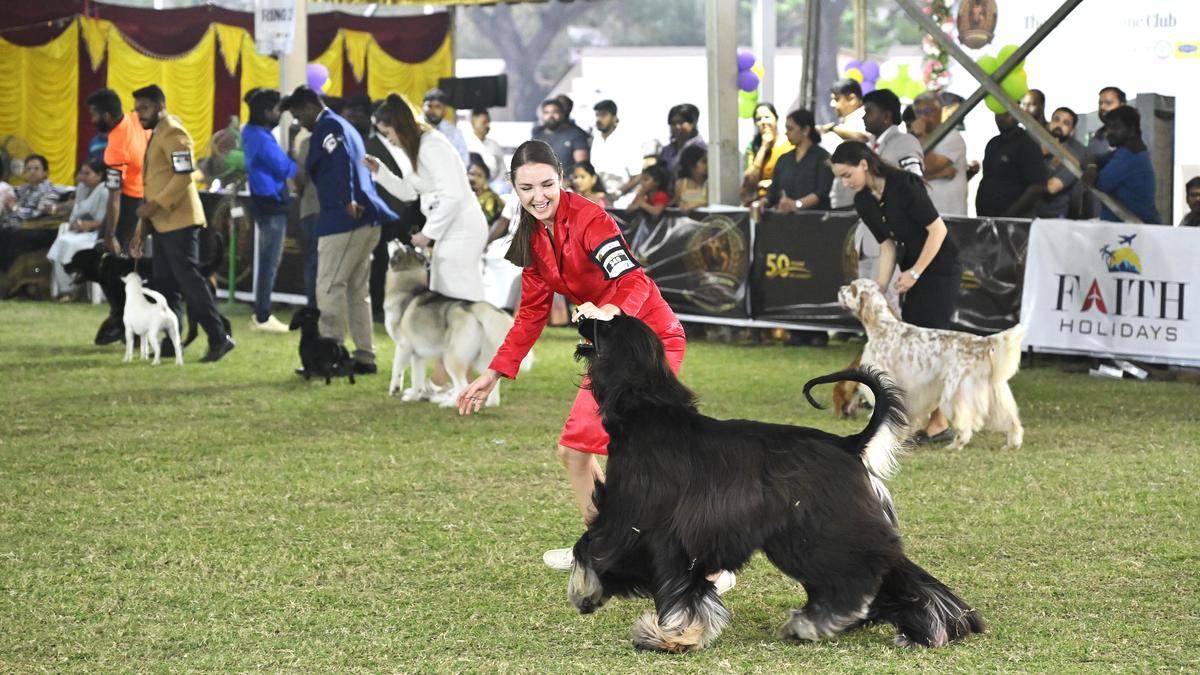 Madras Canine Club&rsquo;s dog show concludes with grand finale