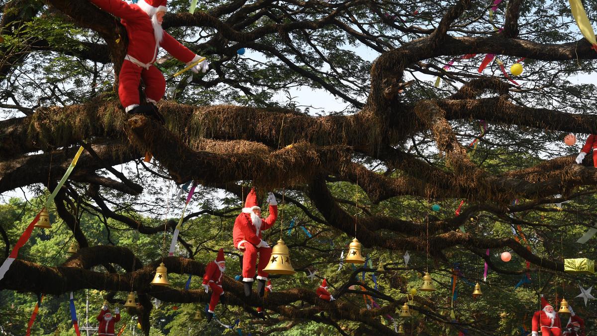 A quick guide to a Fort Kochi Christmas