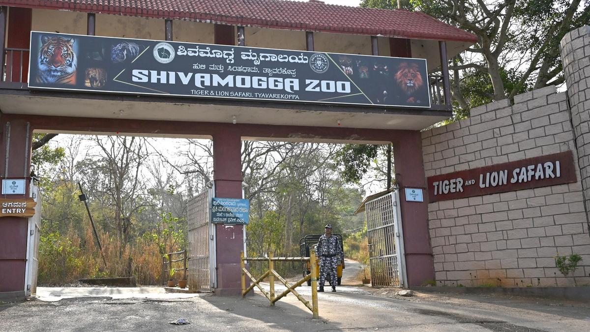 Trainee veterinary officer dies in hippopotamus attack in Tyavarekoppa Safari in Shivamogga