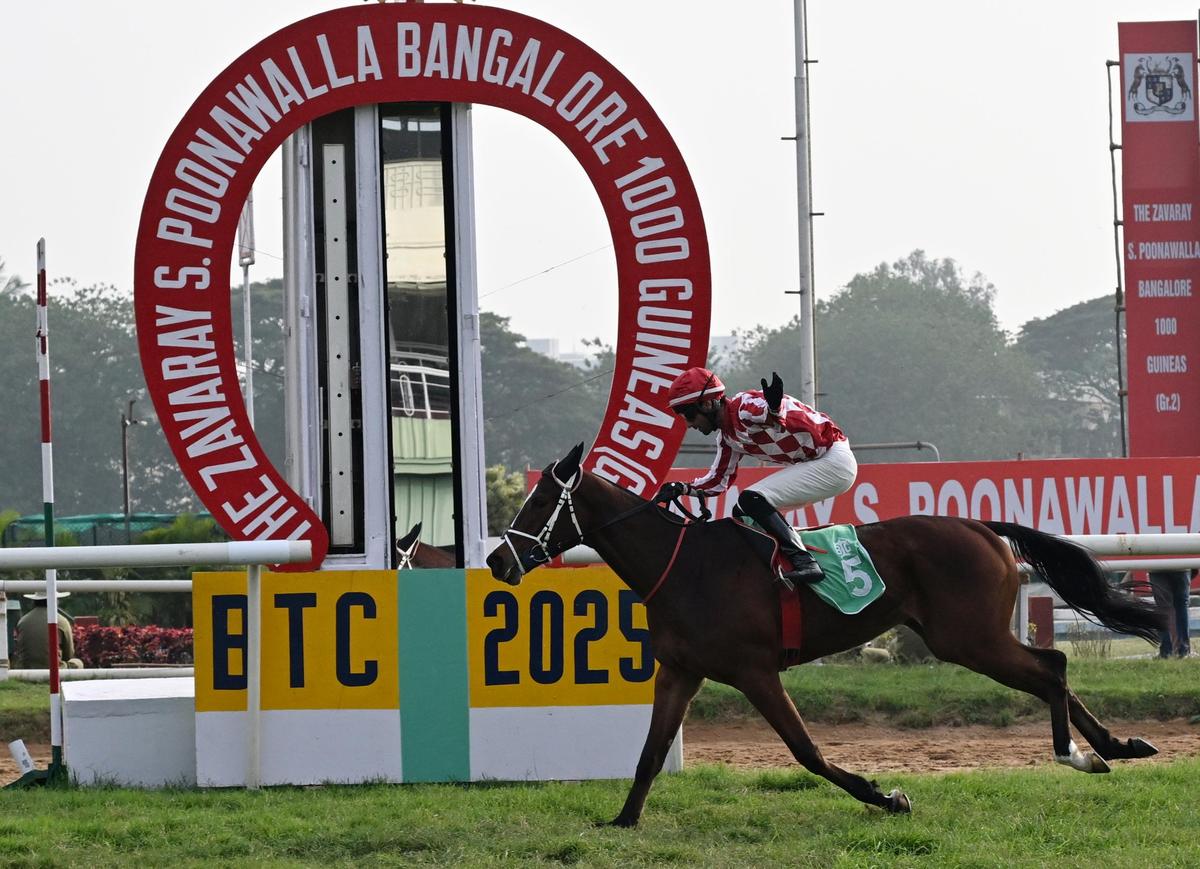 jockey P. Trevor takes Ice Of Fire to victory.