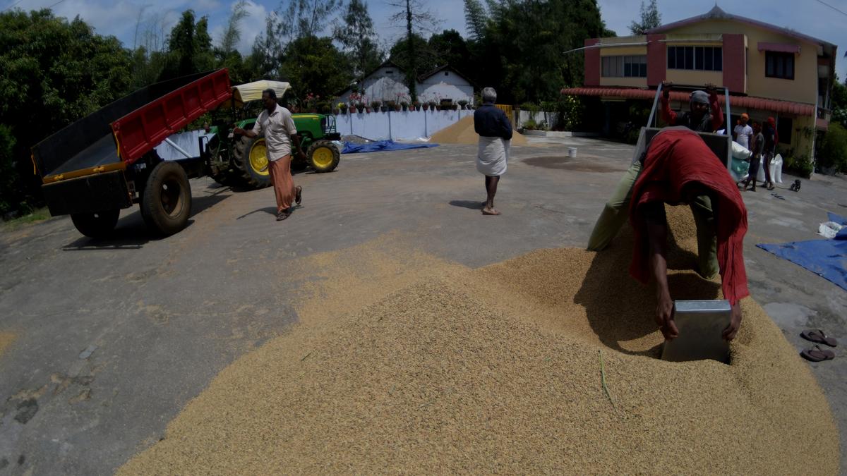 Sangam mandal farmers get money within 24 hours of selling paddy, thanks to AP govt procurement centres