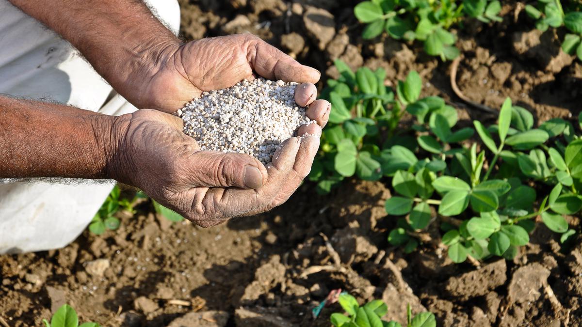 Explained | What is the Centre’s ‘One Nation One Fertilizer’ policy?