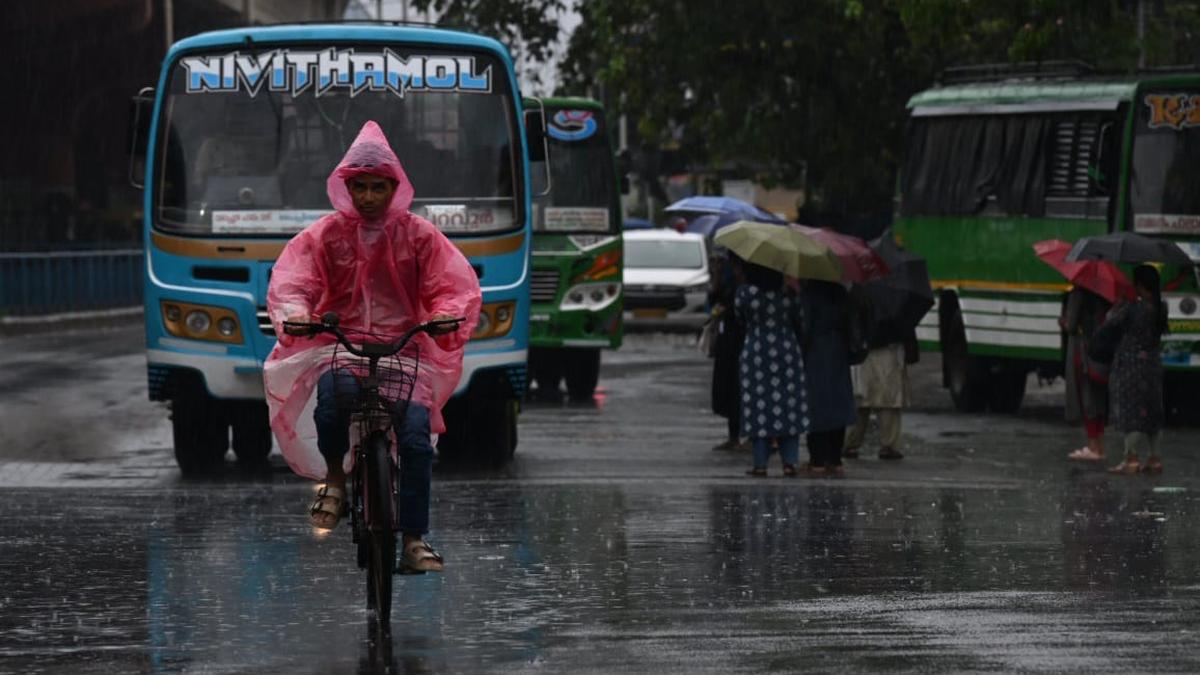 Rains LIVE: NDRF rescues six persons in Solapur; Mumbai on heavy rain alert