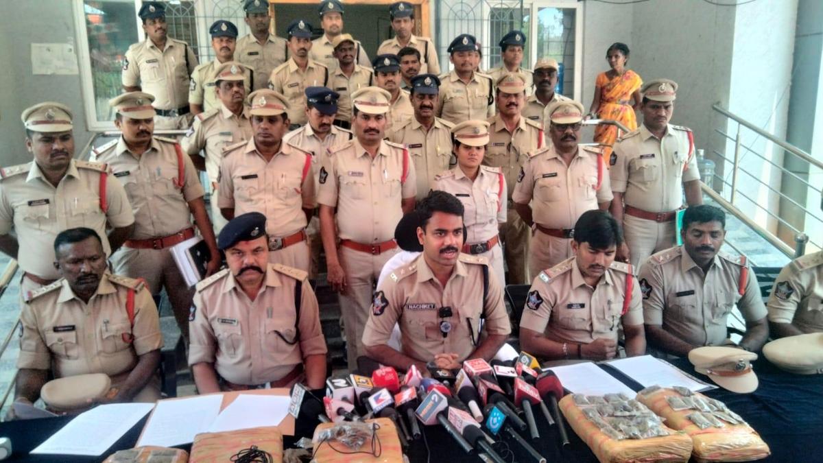 Pulivendula Ganja Alert As 18 Arrested In Massive Raid