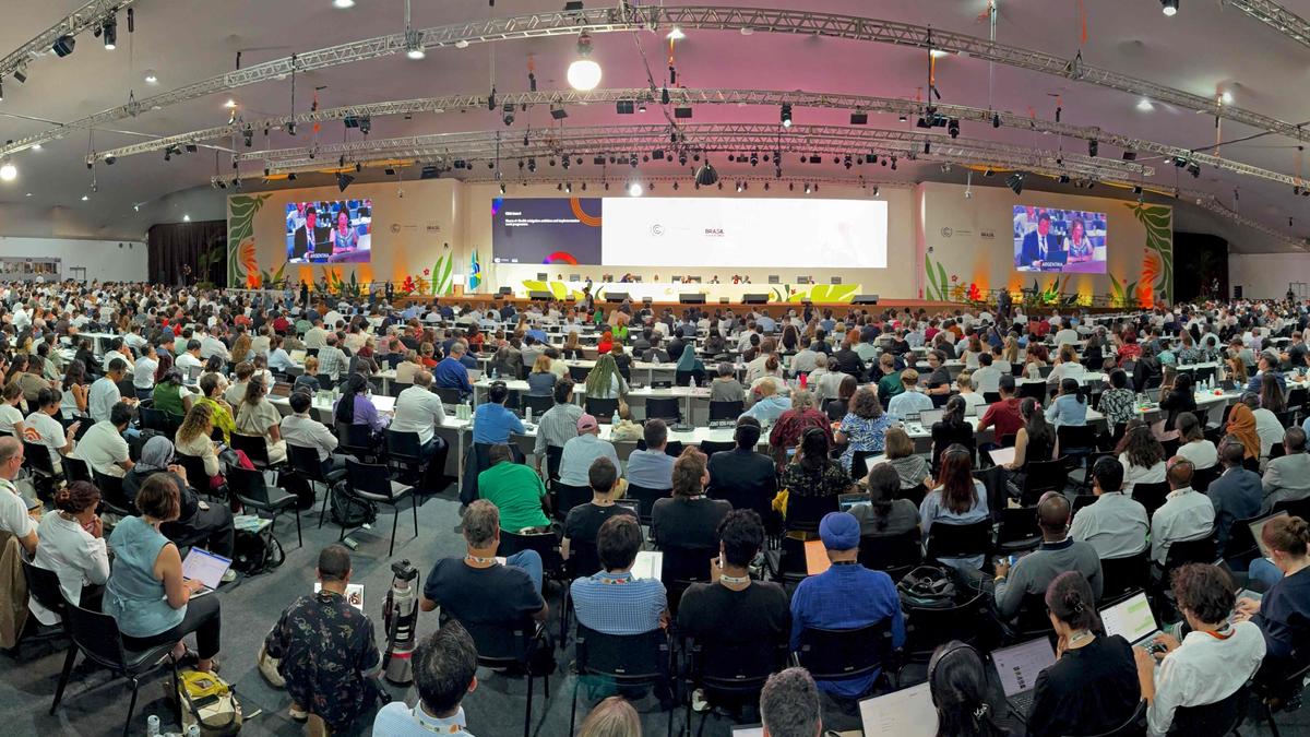 India withdraws bid to host COP33 climate summit in 2028