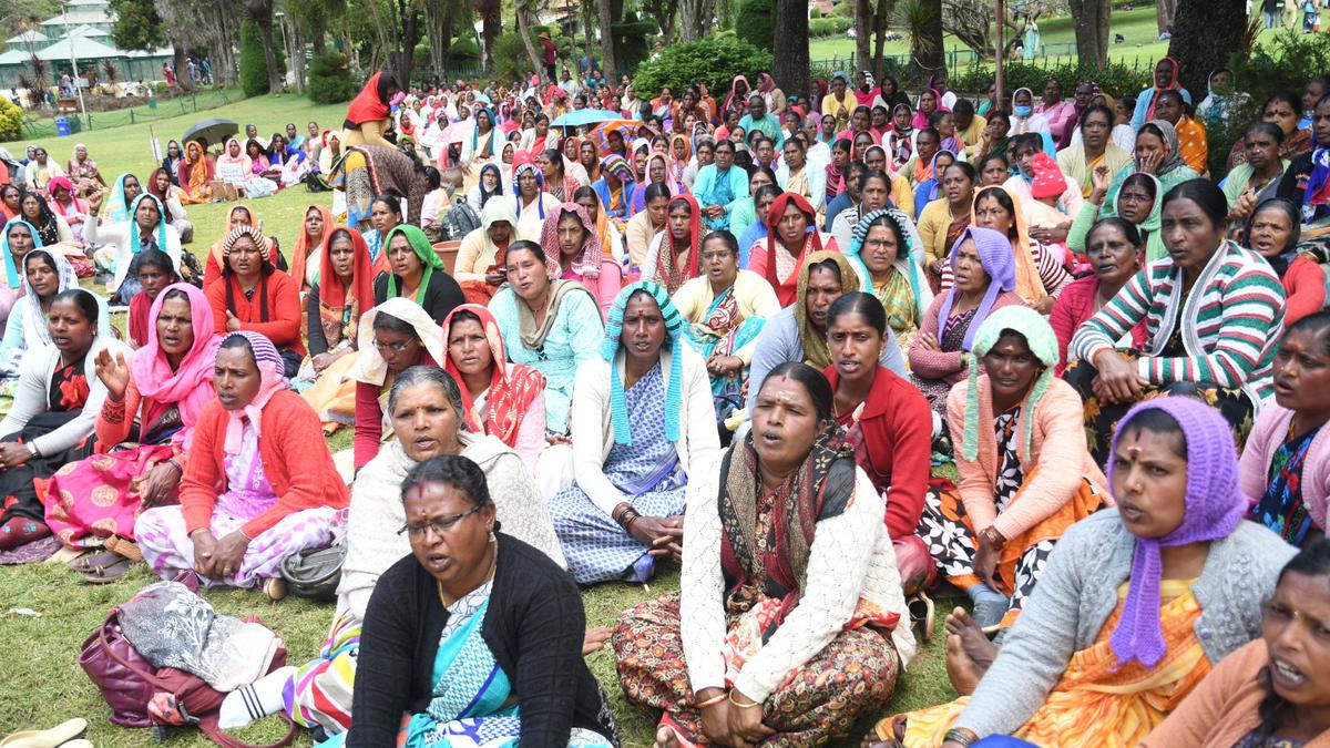 Horticulture Department workers protest at Government Botanical Garden in Ooty; demand fixed timescale pay