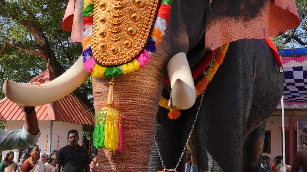 Actor Bhumi Pednekkar, PETA gift mechanical elephant to Thrissur temple