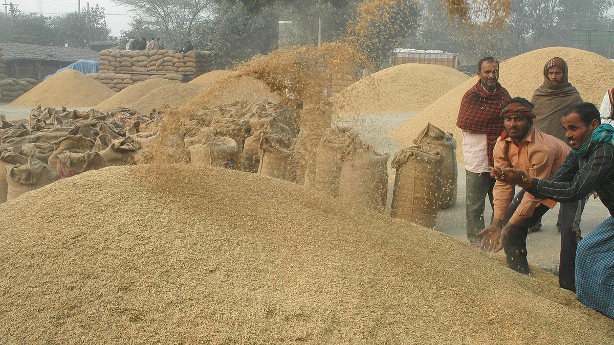 Government extends export ban on de-oiled rice bran till March 2024
