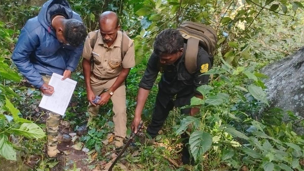 Post-monsoon wildlife census begins in Pollachi Division of Anamalai Tiger Reserve