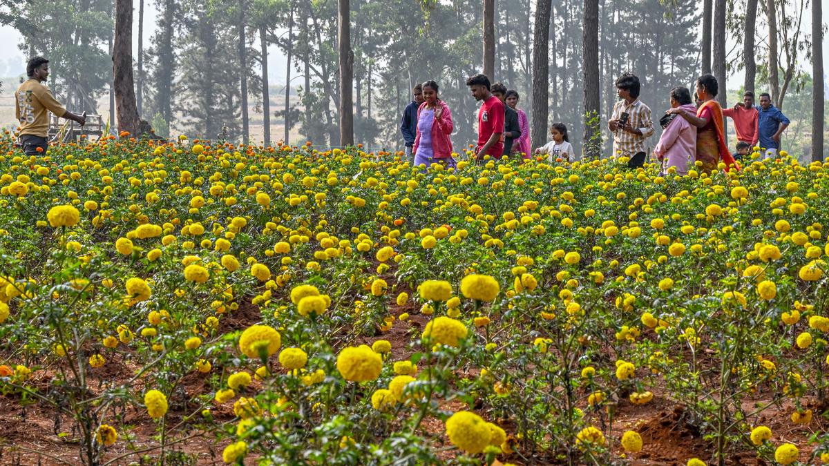 NITI Aayog’s Growth Hub Programme to focus on tourism development in Visakhapatnam region