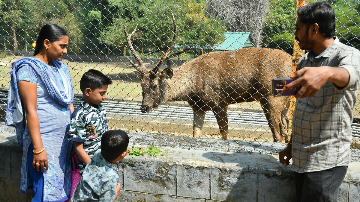 People throng tourist spots for &lsquo;Kaanum Pongal&rsquo; in Salem