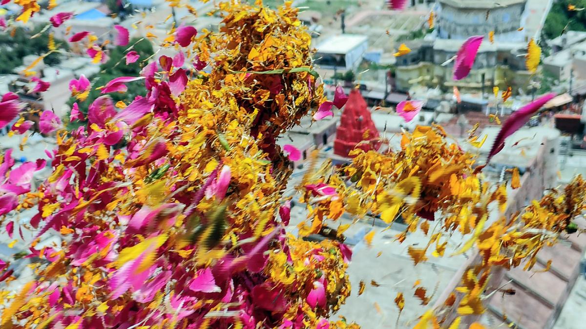 BJP slams SP MLA for saying that only illiterate people go on Kanwar Yatra