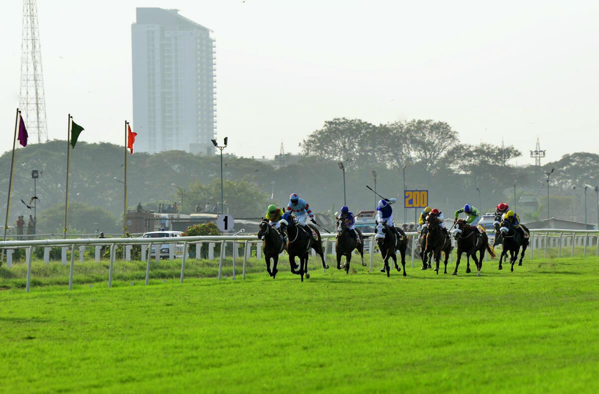 Karnataka High Court permits Bangalore Turf Club to go ahead with horse racing and betting activities