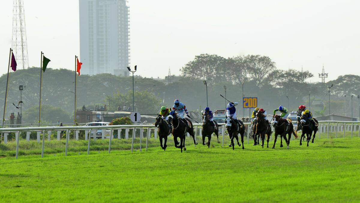 Karnataka High Court permits Bangalore Turf Club to go ahead with horse racing and betting activities