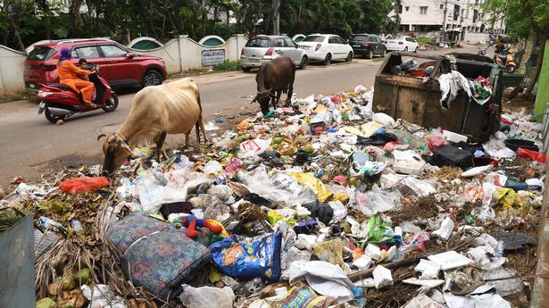 Heaps of garbage raise a stink in Visakhapatnam