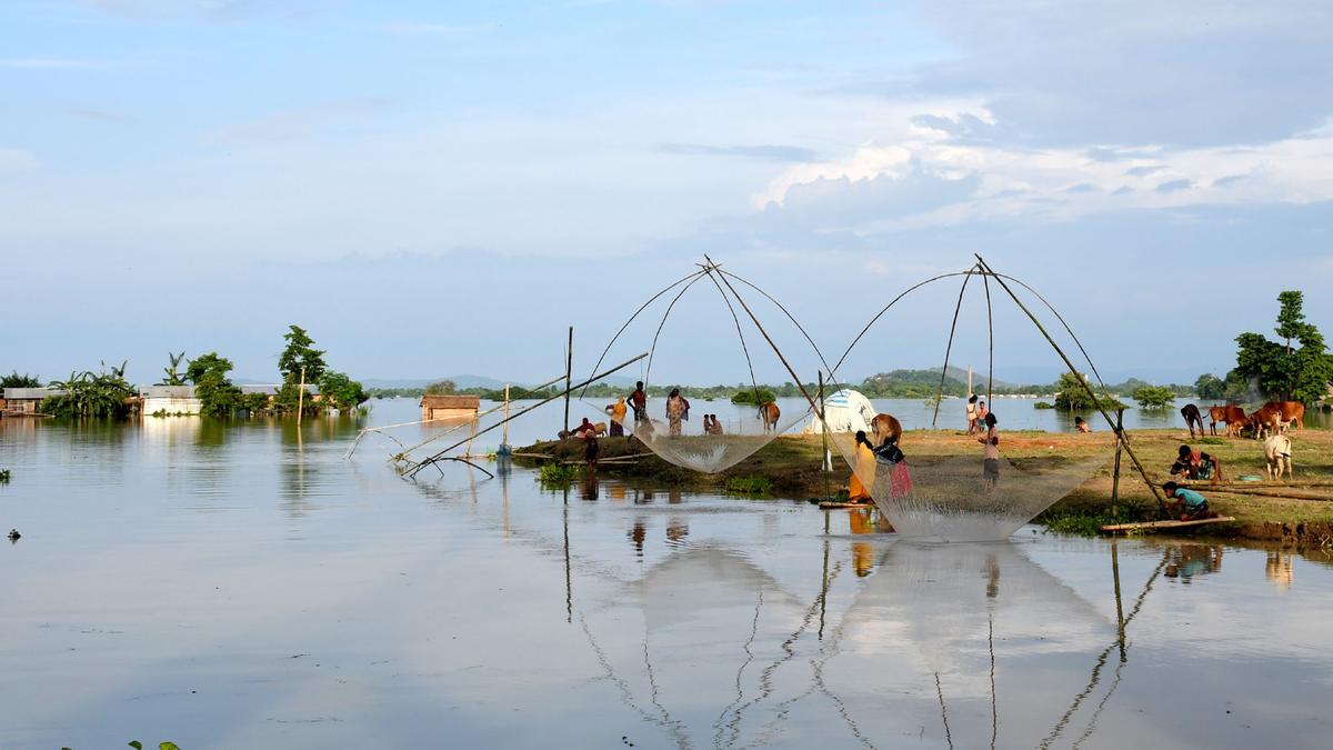 Assam floods: Six more dead as toll mounts to 52; over 21 lakh people affected