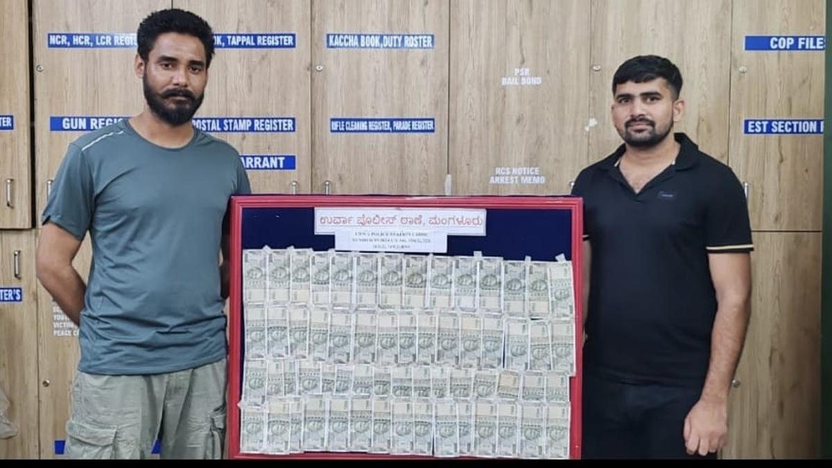 Two Rajasthan youth who cheated Amazon delivery partner of ₹11.45 lakh in Mangaluru arrested