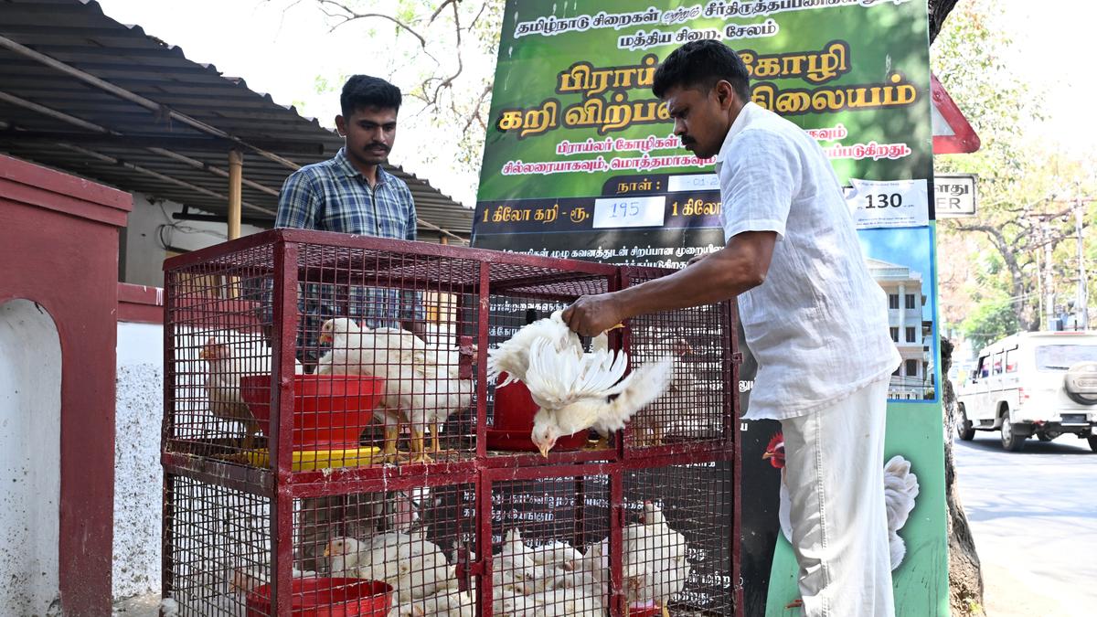 Salem Central Prison gets good response to meat sales in prison bazaar