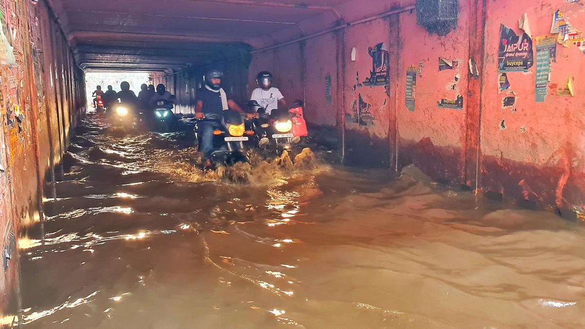 'Abnormal' rainfall in 15 Rajasthan districts so far this monsoon