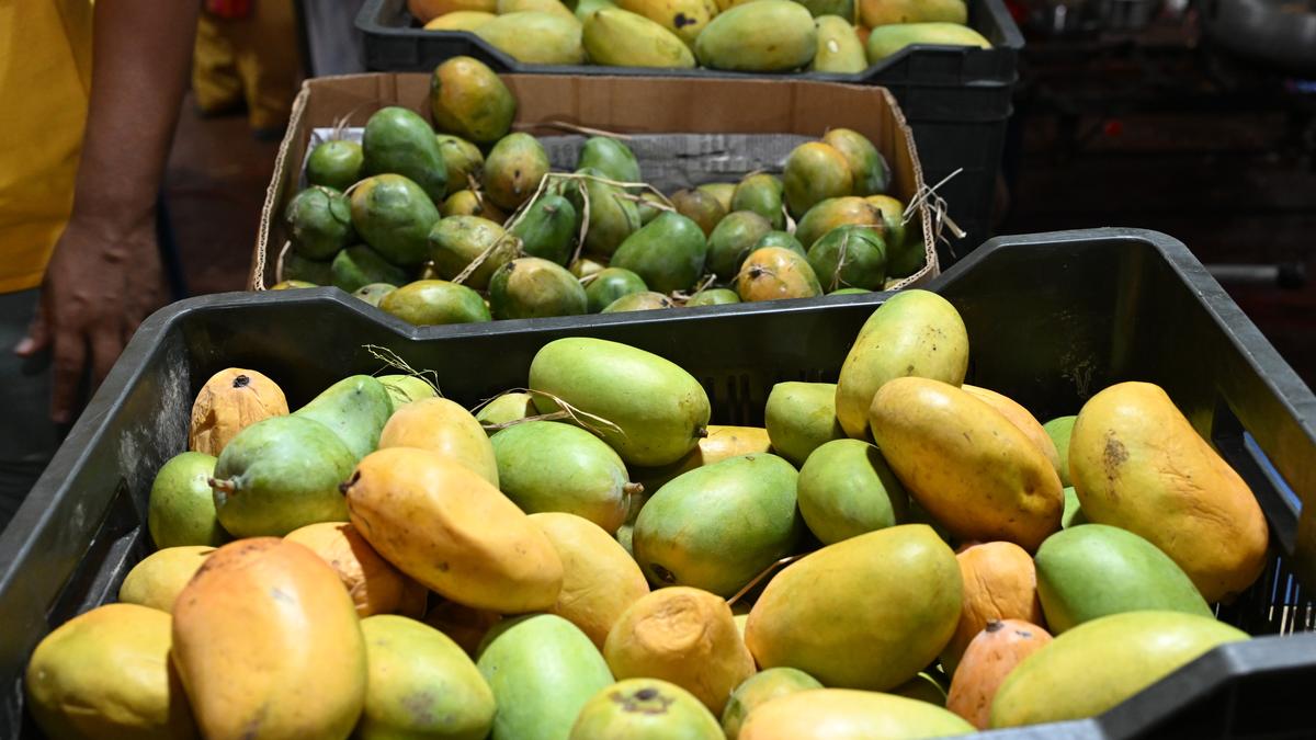 La FSSAI demande aux commerçants de fruits et au secteur alimentaire de ne pas utiliser le produit interdit « carbure de calcium » pour la maturation des fruits