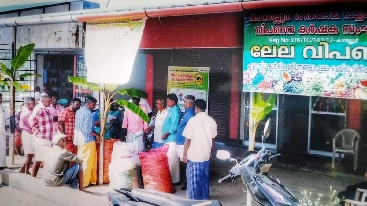 With Horticorp delaying payment, farmers start their own vegetable market at Kanthalloor
