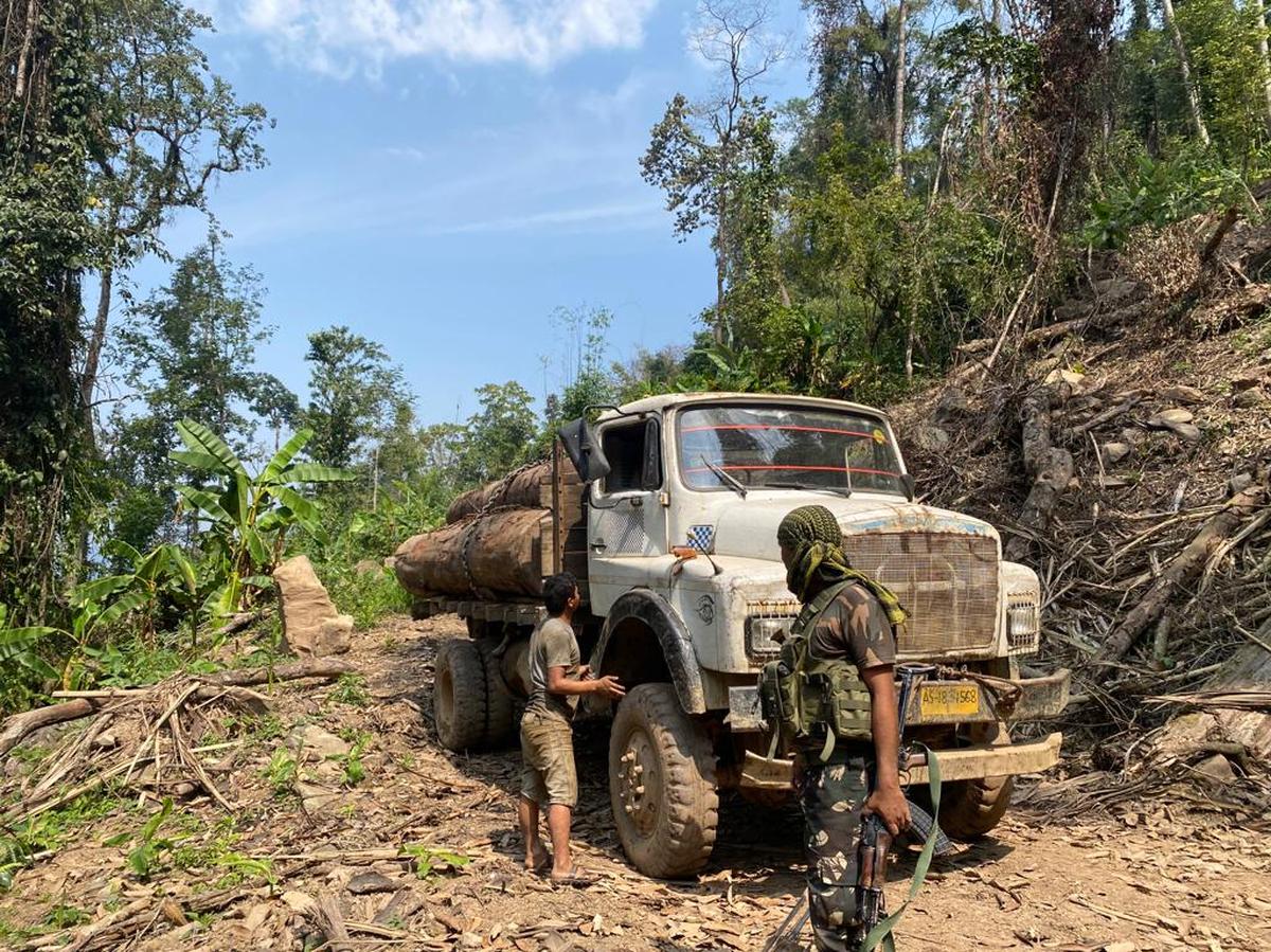 Logs and a truck seized from the core area of Namdapha National Park and Tiger Reserve in Arunachal Pradesh’s Changlang district. Logs and a truck seized from the core area of Namdapha National Park and Tiger Reserve in Arunachal Pradesh’s Changlang district.