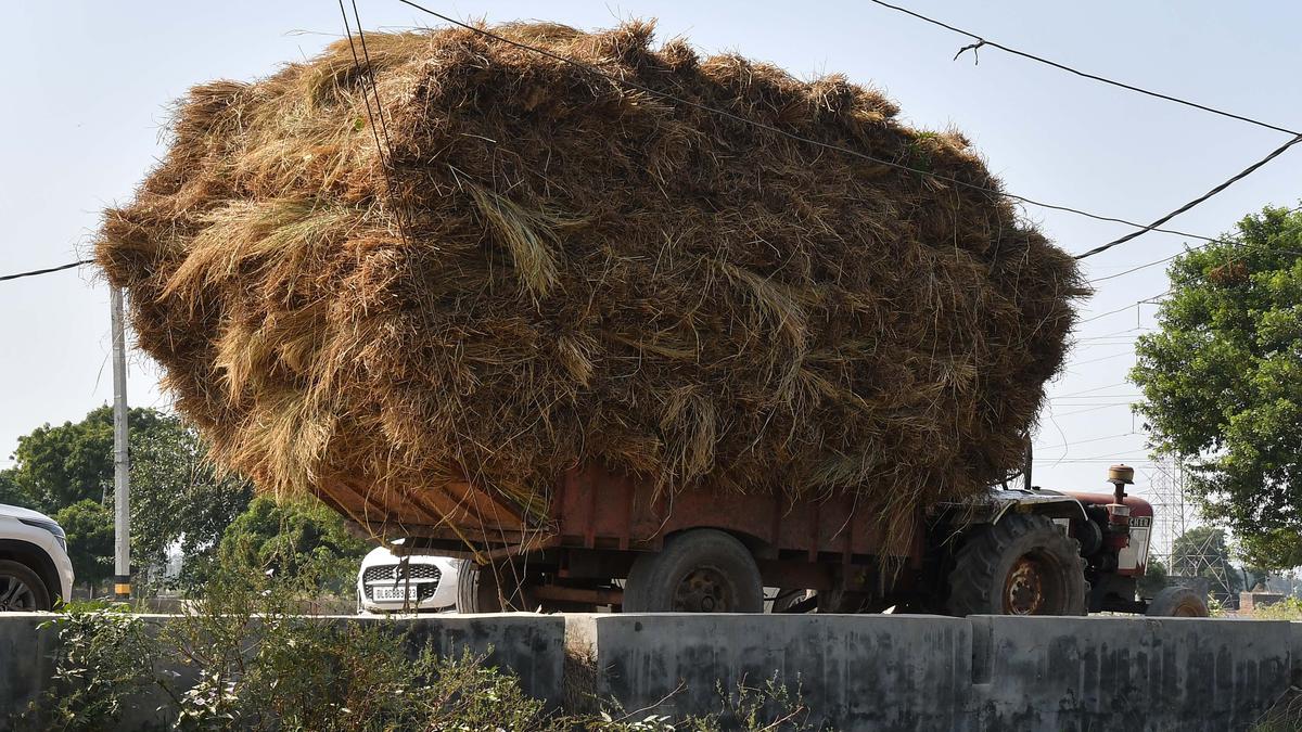 A renewable energy revolution, rooted in agriculture