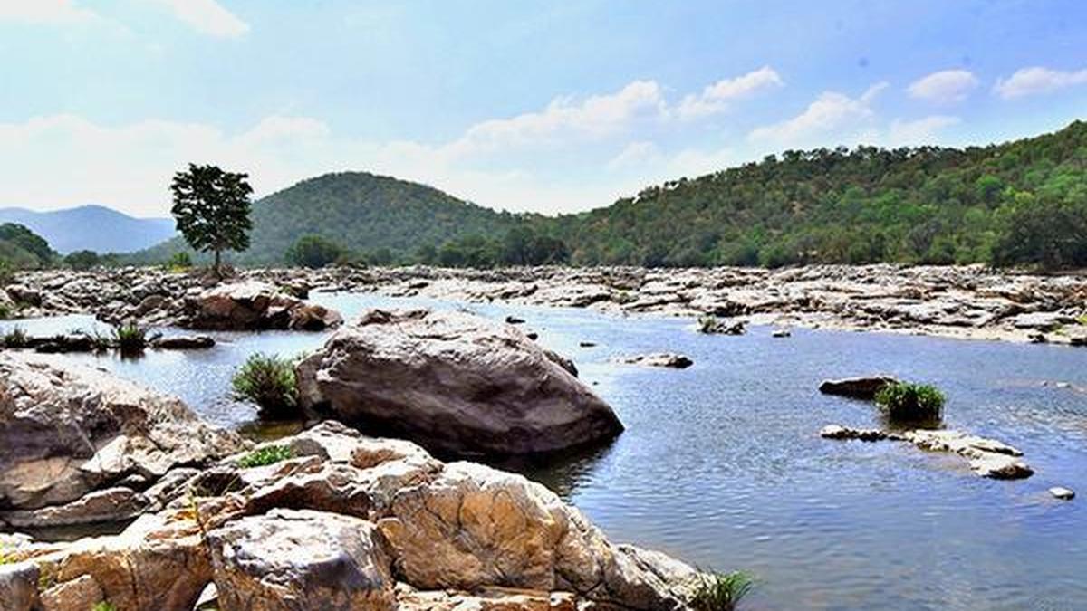 Supreme Court rejects review plea by Tamil Nadu on Mekedatu project