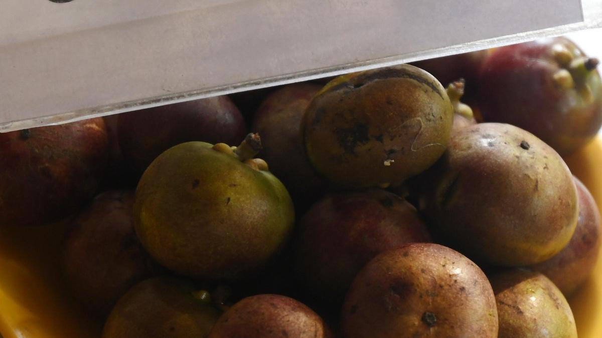 Researchers in Kerala secure patent for extraction of high-value garcinia acid