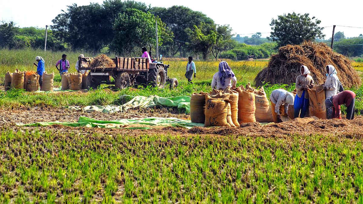 Union Cabinet approves setting up of new Primary Agricultural Credit Society in two lakh panchayats