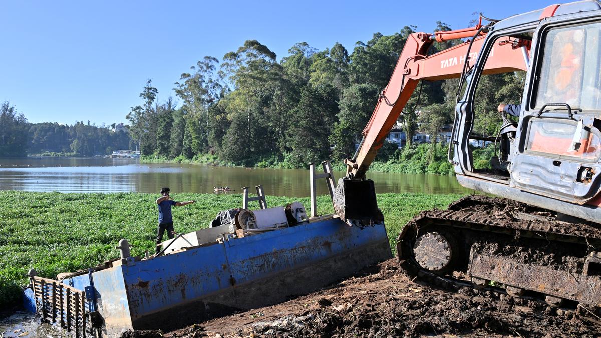 Desilting of Ooty lake begins, activists call for action against polluting businesses along Kodappamund Channel