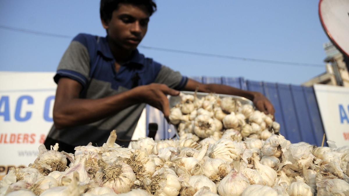 Garlic, onion get expensive as weather conditions hit supply chain