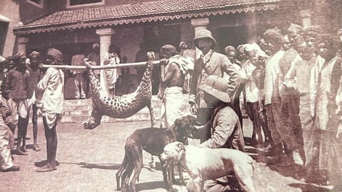 When the maharaja permitted a British engineer to shoot leopard near Chamundi Hills in Mysuru