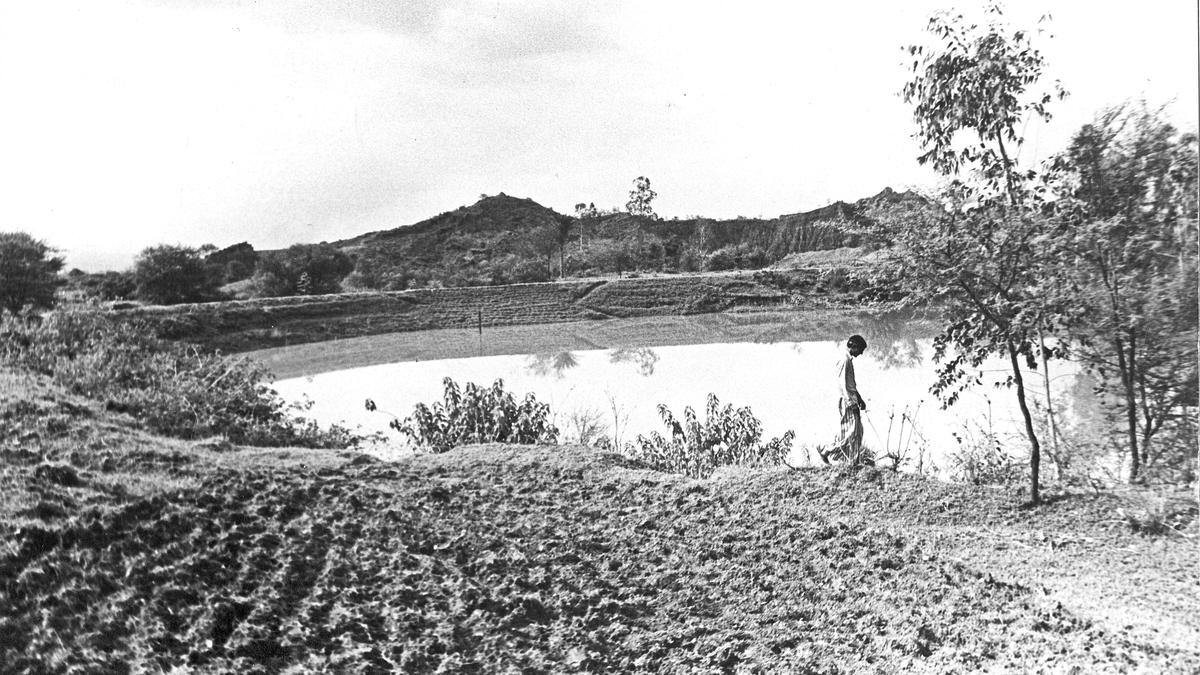 Three children drown in farm pond in Vijayapura district of Karnataka
