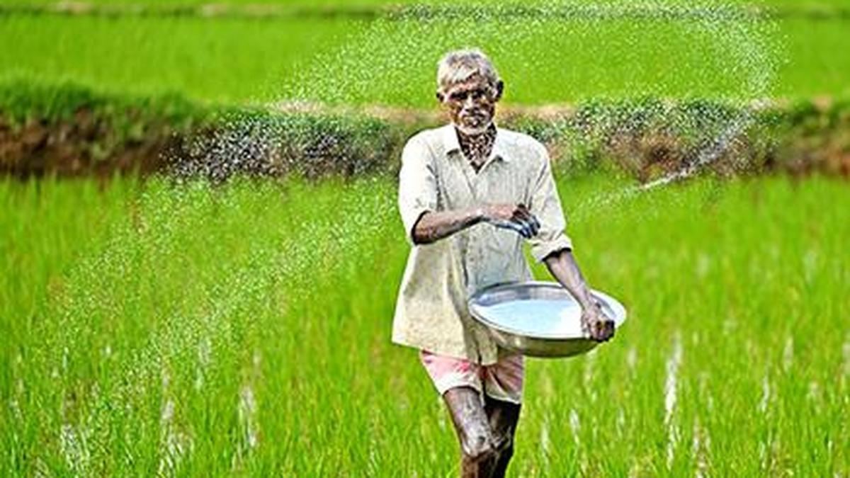India faces specialty fertiliser price jump as China suspends exports