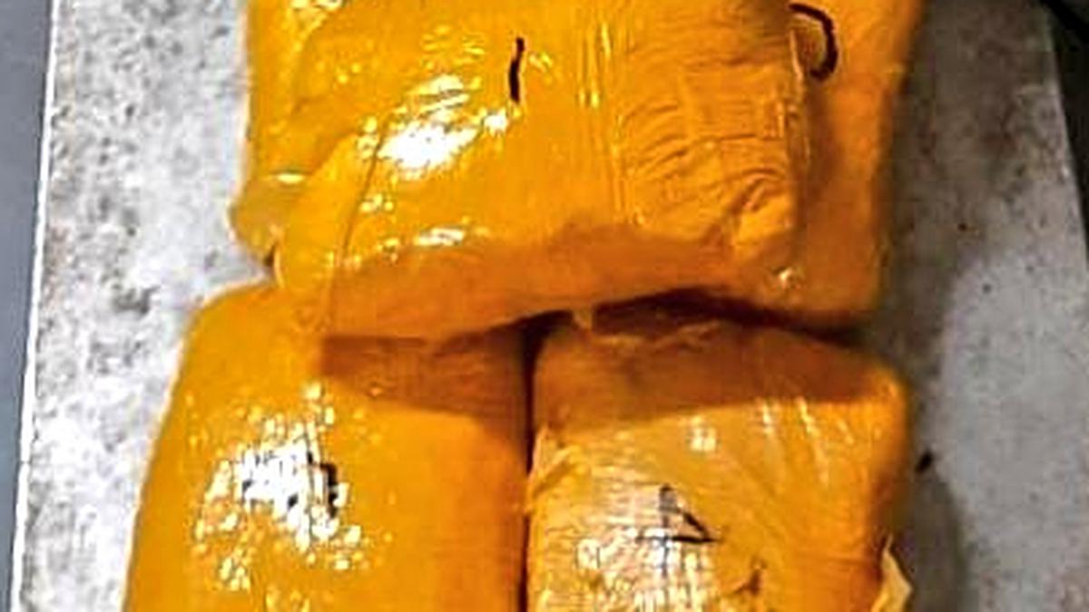 BSF seizes more than six kg of heroin in Punjab's Gurdaspur