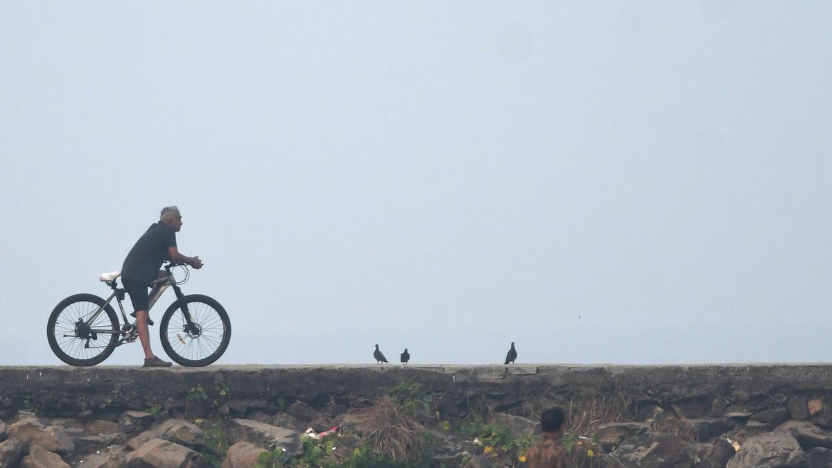 IT employee arrested for groping women cyclists in Coimbatore