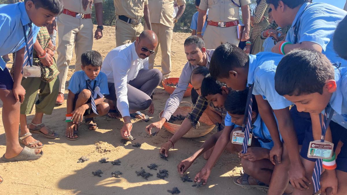 Kundapur DCF K. Ganapathy said the department has taken many initiatives, including involving fishermen and NGOs in the turtle conservation initiative along the 98 km beach stretch under the Division. Kundapur DCF K. Ganapathy said the department has taken many initiatives, including involving fishermen and NGOs in the turtle conservation initiative along the 98 km beach stretch under the Division.