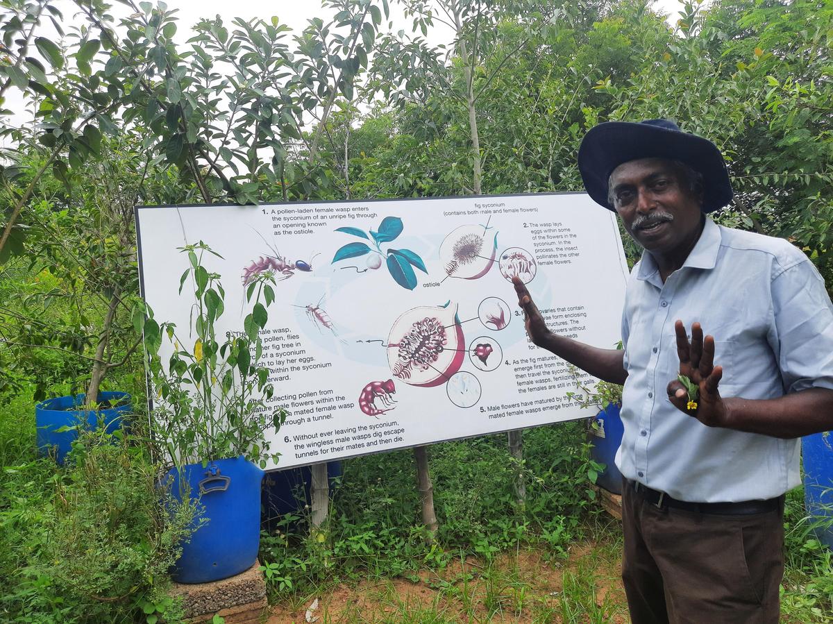 Alexander Amirtham, founder and executive director, GREENS Biodiversity Sanctuary. 