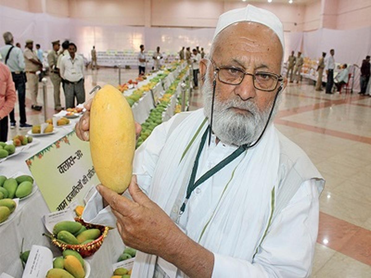 Hortikulturista Kallimullah Khan. Filé Hortikulturista Kallimullah Khan. Filé