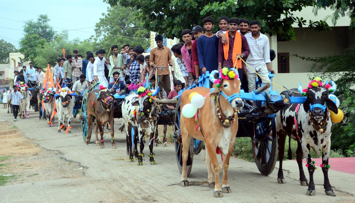 A Bullock carts procession is organised in  Makta Allur village, Sangareddy district