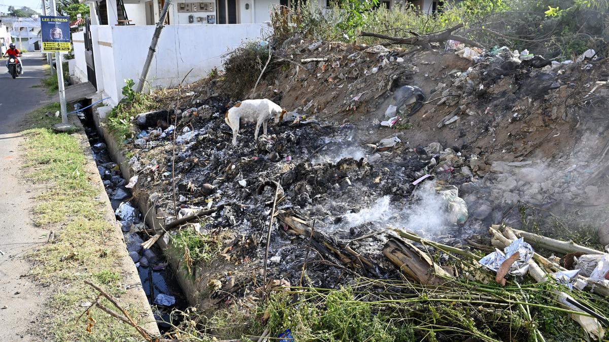 Ward Watch | Demand for daily garbage collection to tackle open dumping rises in Ward 92 of Coimbatore Corporation