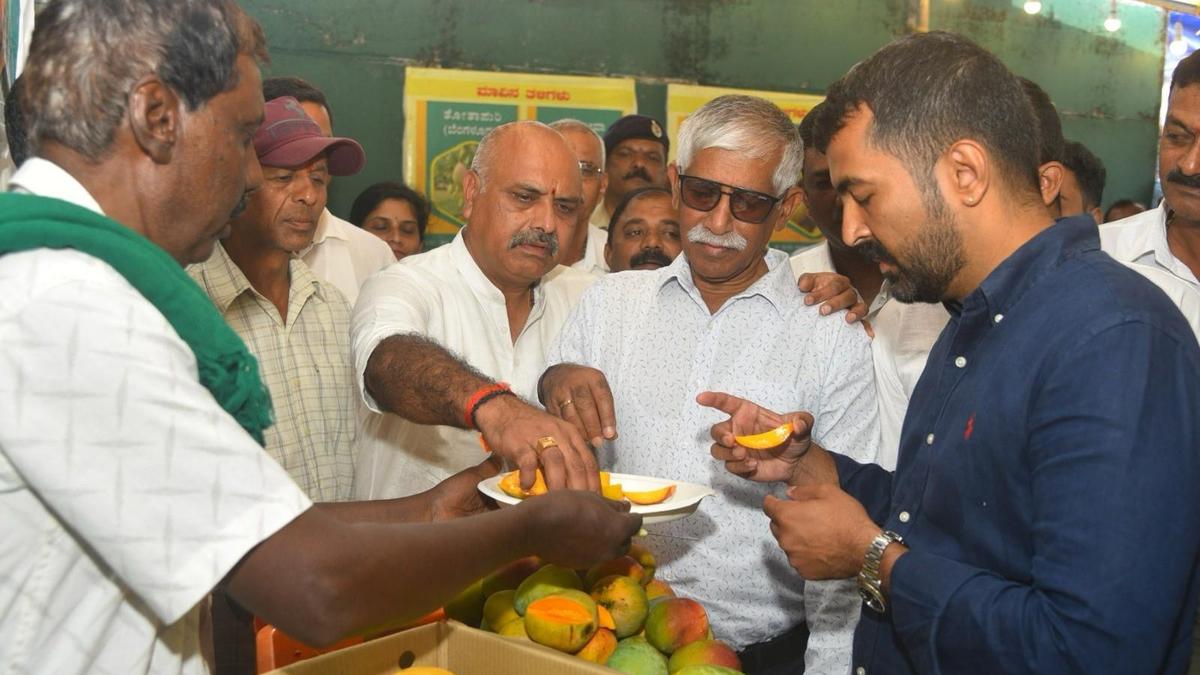 Mango and jackfruit mela opens in Madikeri