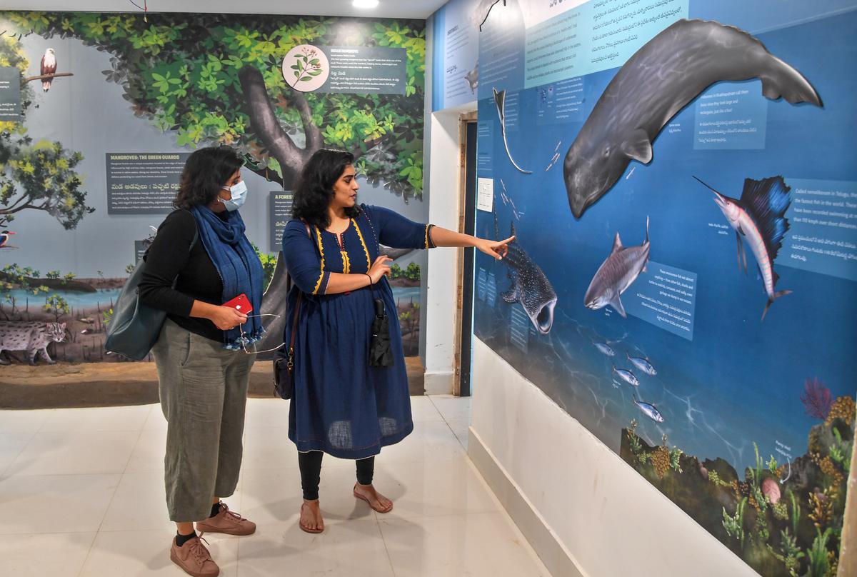 The team of artists and content creators explaining about the works at the first-of-its-kind Nature Interpretation Centre, a new section at the recently-inaugurated Eastern Ghats Biodiversity Centre near PM Palem in Visakhapatnam.