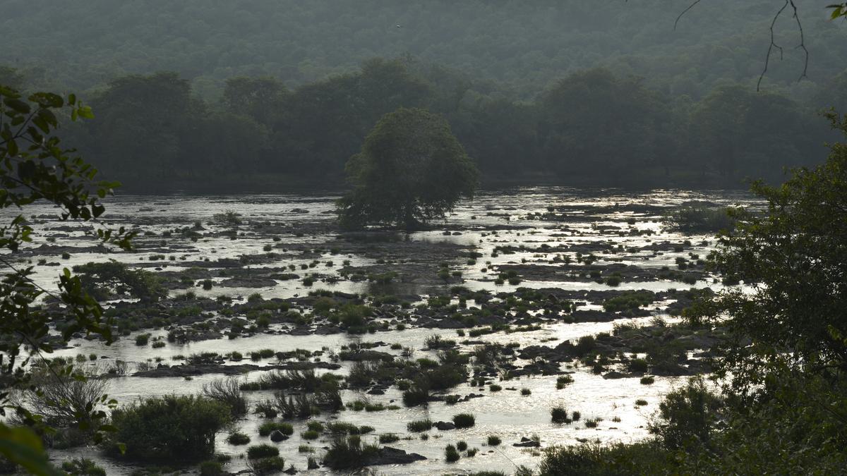 CWRC asks Karnataka to release water at 3,216 cusecs for 38 days from November 24