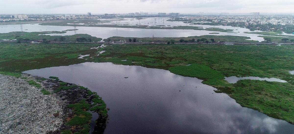 A view of the Pallikaranai Marshland in Chennai. A view of the Pallikaranai Marshland in Chennai.