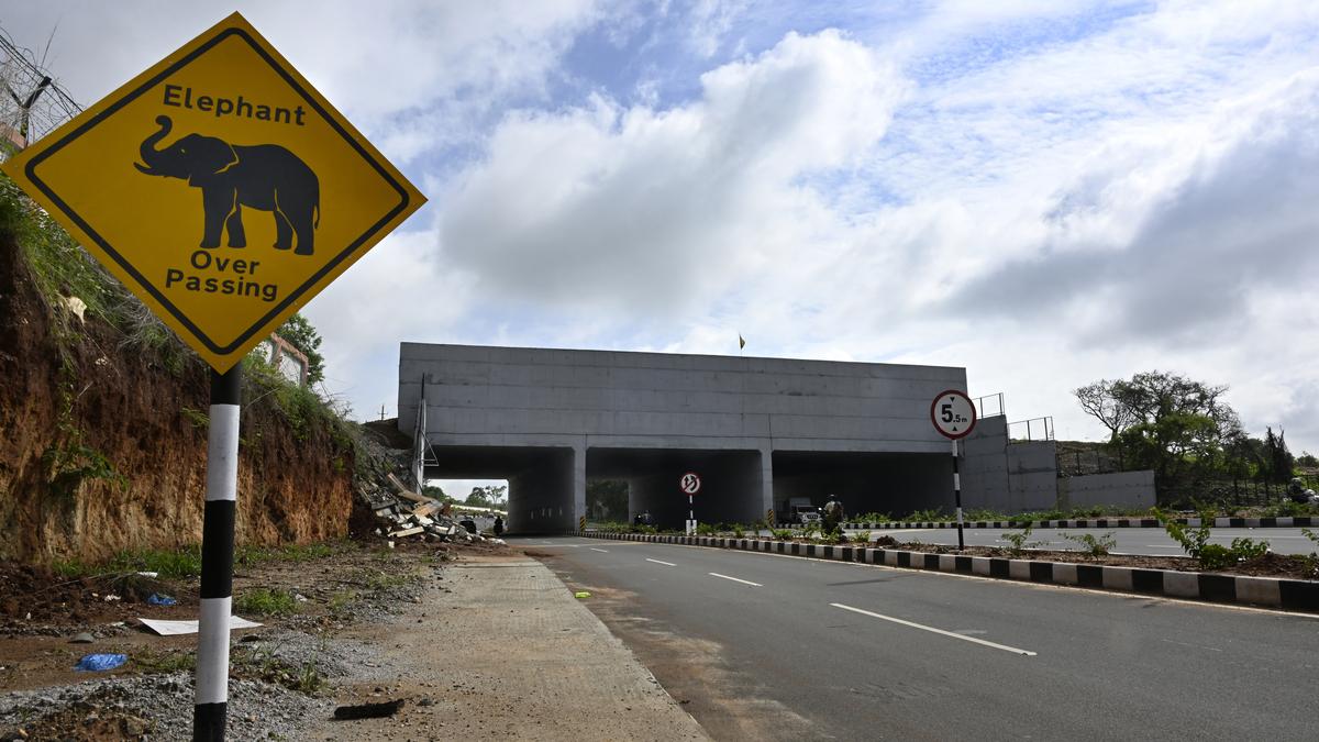 Karnataka’s first elephant overpass on Kanakapura Road now operational 