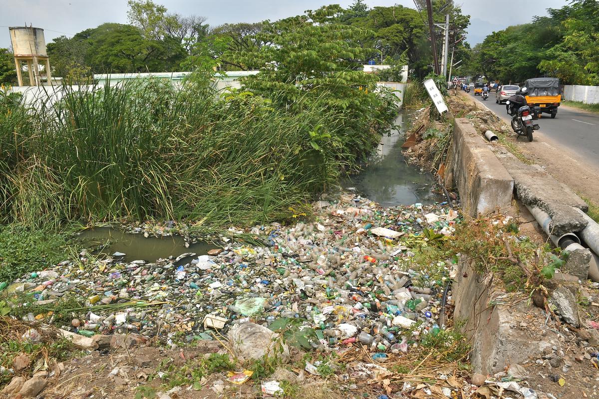 Indiscriminate dumping of garbage continues at Kannankurichi in Salem