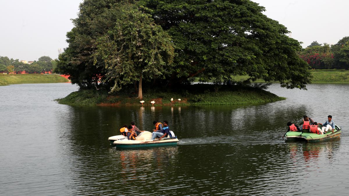 There is something for practically everyone at Chetpet Eco Park - The Hindu