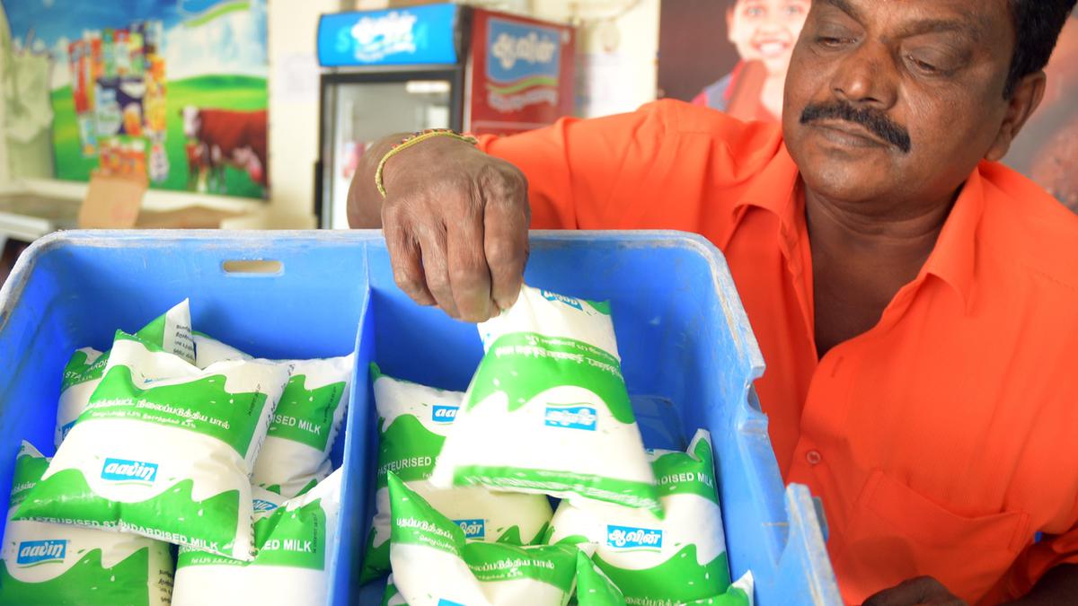 Milk production improves in recent weeks